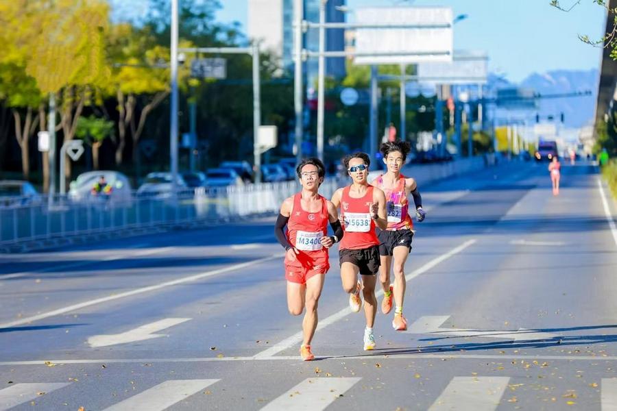 39a16333d3d8a3007ce8150b140091e5