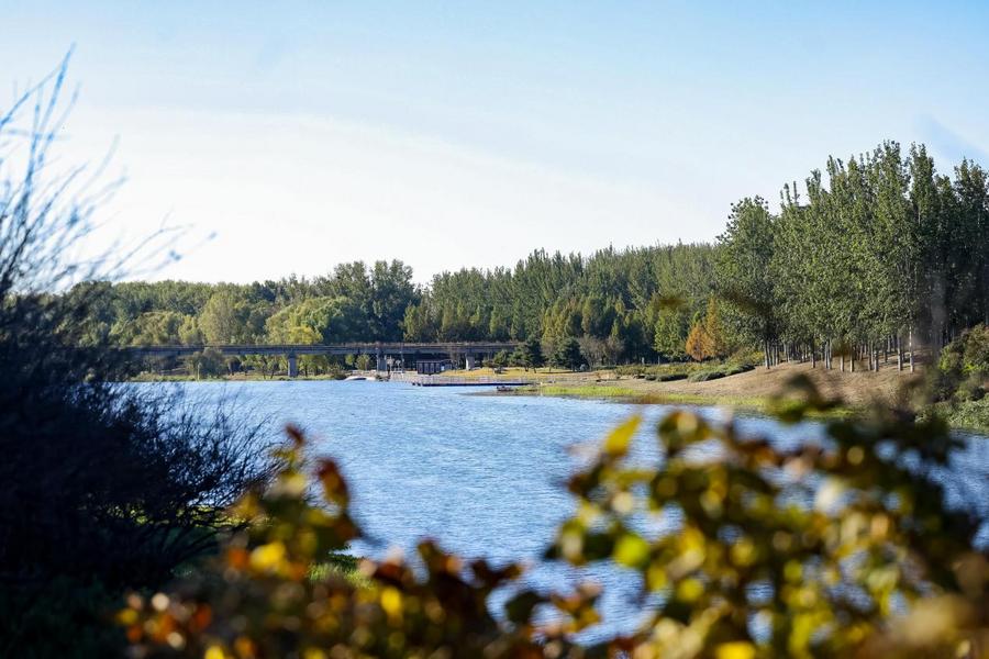 /Users/raindy/Library/Containers/com.kingsoft.wpsoffice.mac/Data/tmp/picturecompress_20251026144302/output_1.jpgoutput_1